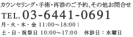 電話番号 03‐64410691